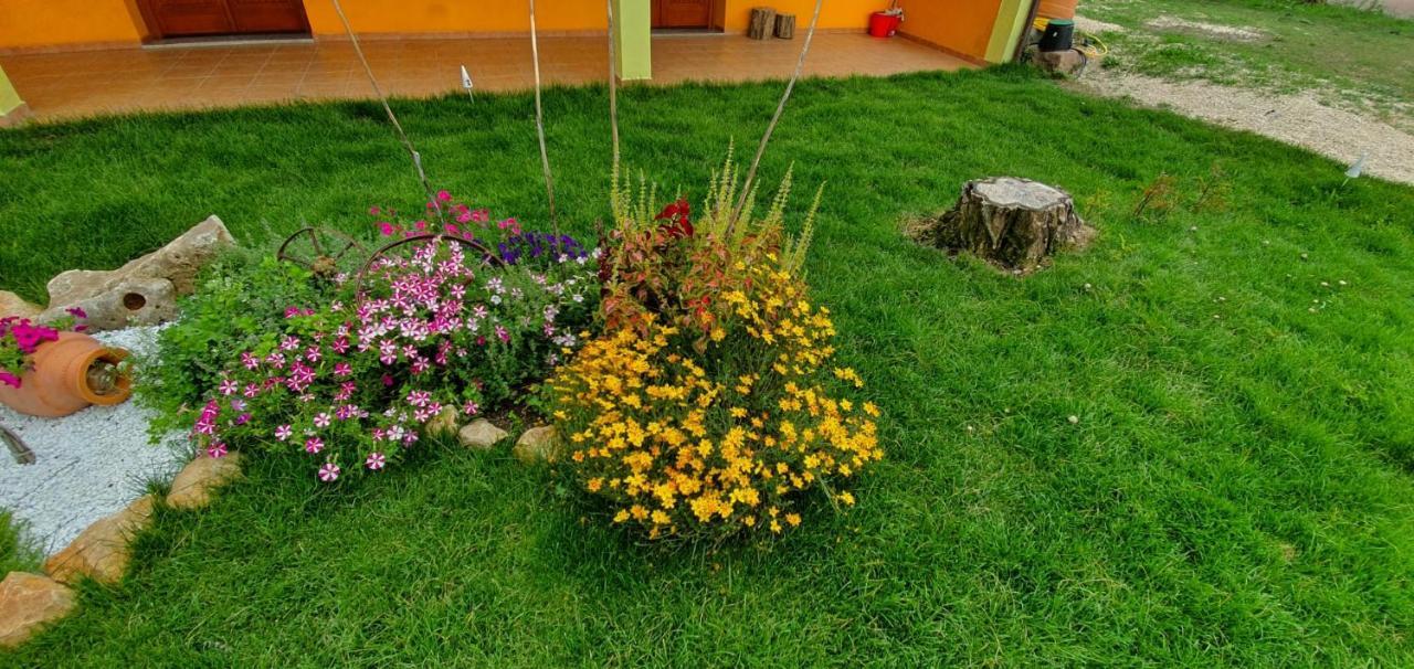 Bungalows Coronas Bonorva Экстерьер фото
