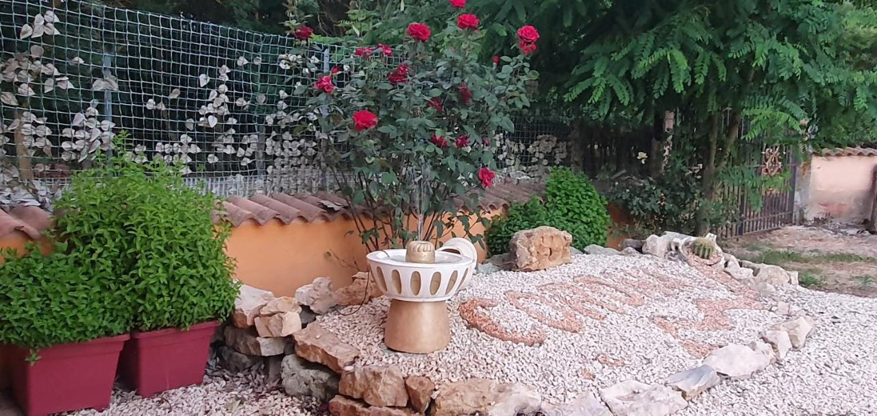 Bungalows Coronas Bonorva Экстерьер фото